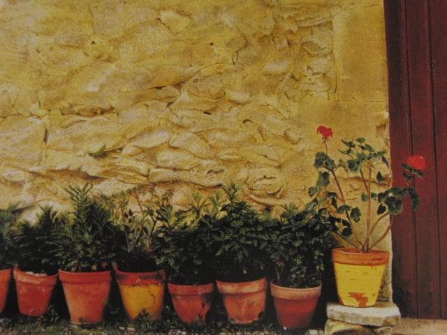 中尾新也、【石壁と植木鉢（ニヨン）】、希少な額装用画集より