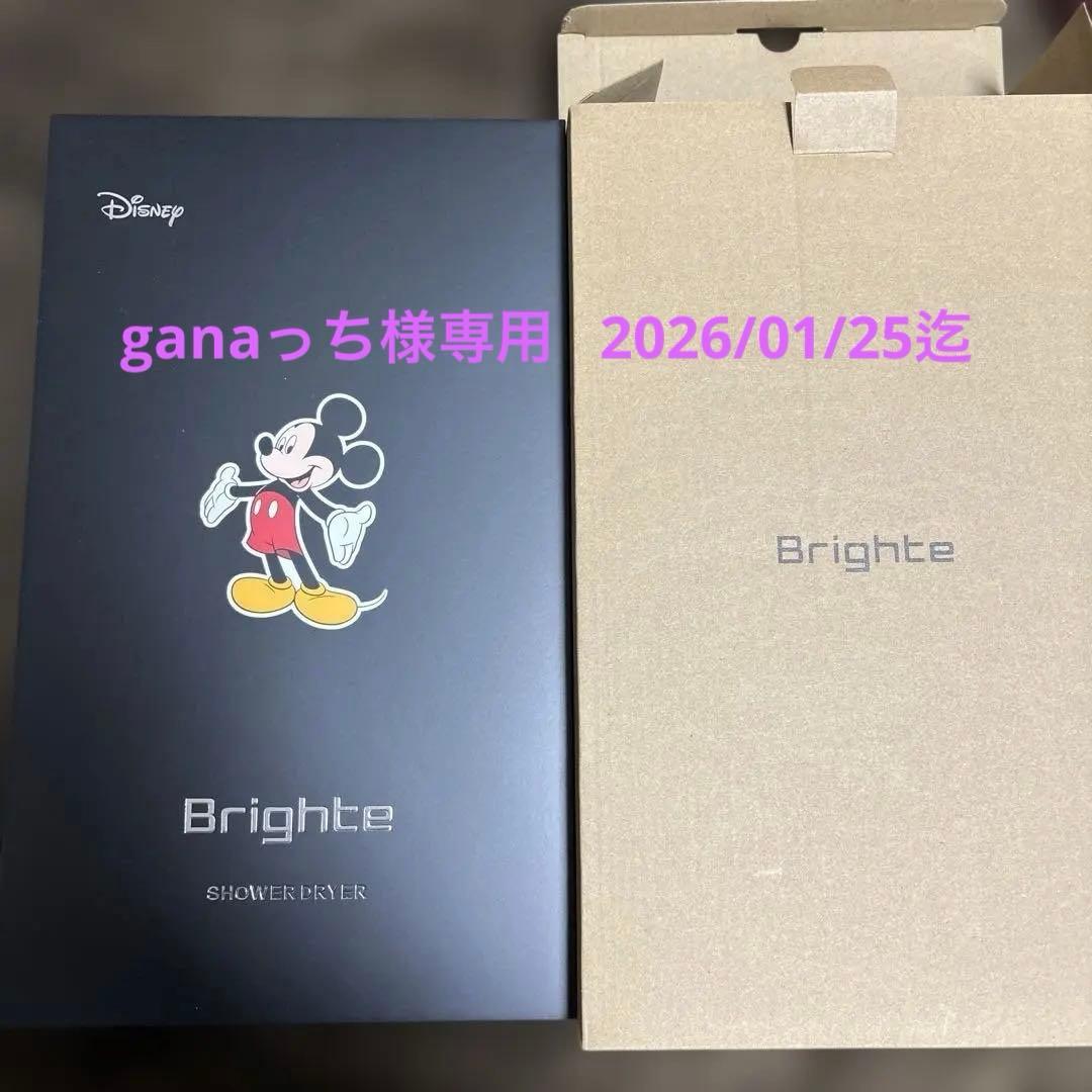 SHOWER DRYER Disney ミッキー 限定とドライヤースタンド