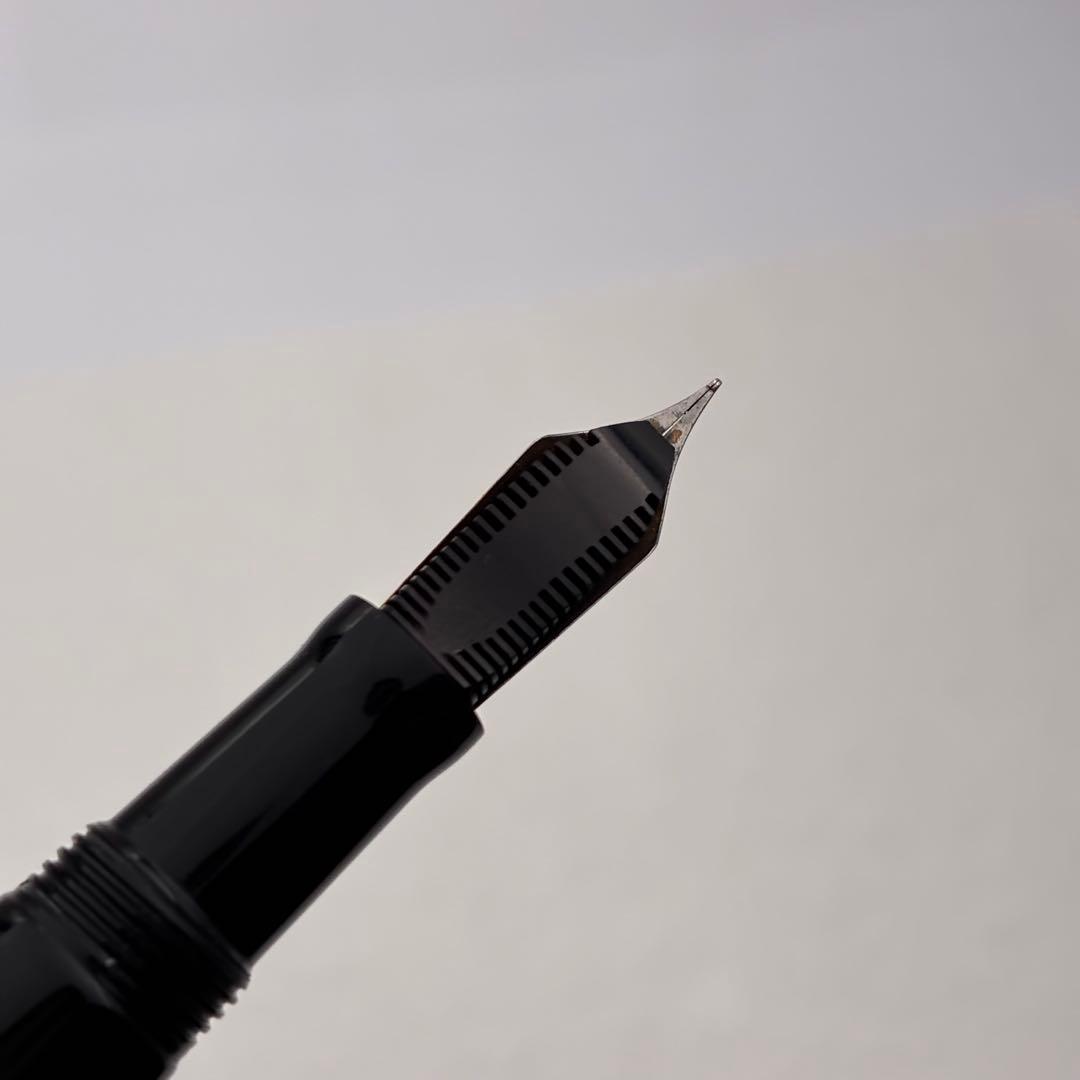 WATERMAN ウォーターマン 万年筆 ウォータミナ 銀製 オーバーレイ