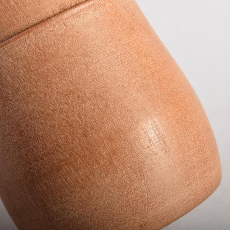 茶道具　天然木　中次　棗　在銘　書付共箱　C　8301