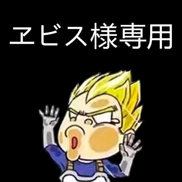 ヱビスページ 未塗装