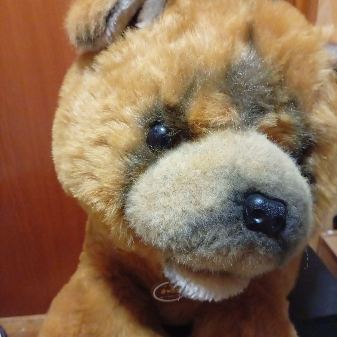 チャウ犬　中国犬　 ぬいぐるみの三英　特大ぬいぐるみ サイズ　68cm