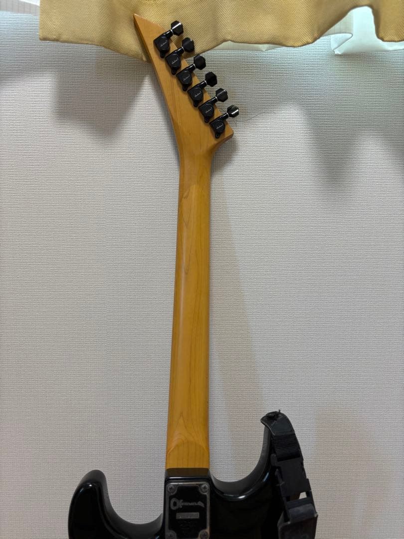 エレキギター CHARVEL P.O.Box2344 TX76113