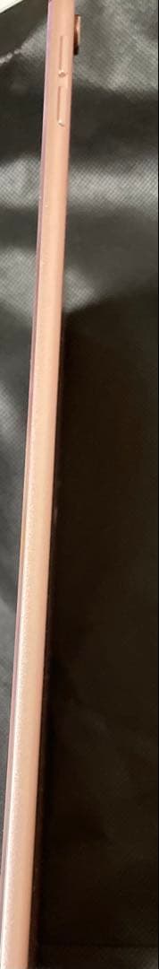 Apple iPad Pro ローズゴールド 64GB 本体