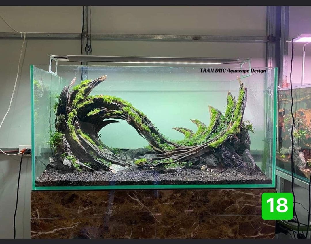 TTD 【⭐︎ CITY HUNTER様⭐︎】【美品・数量限定】