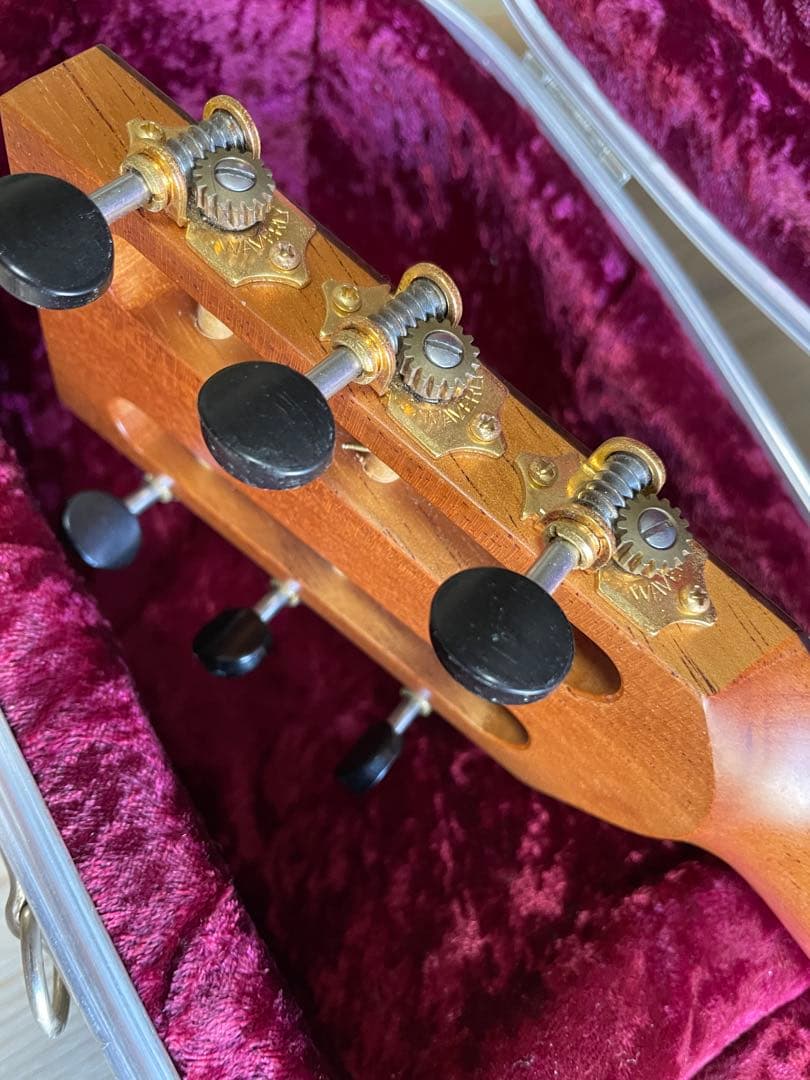 ギター Lakewood A-45 Custom Ziricote Europian