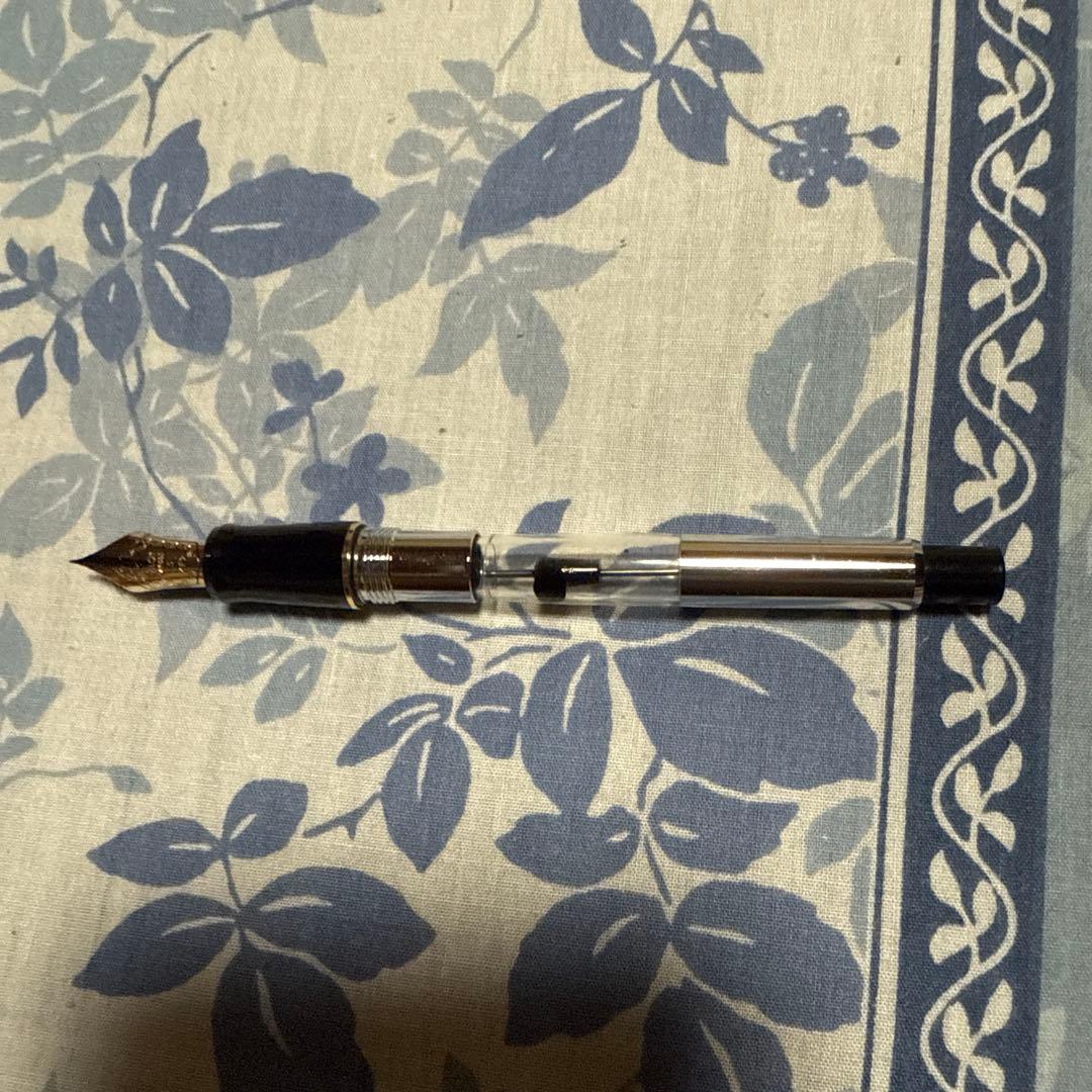 PILOT 万年筆 黒 カスタム74 Fケース保証書付き