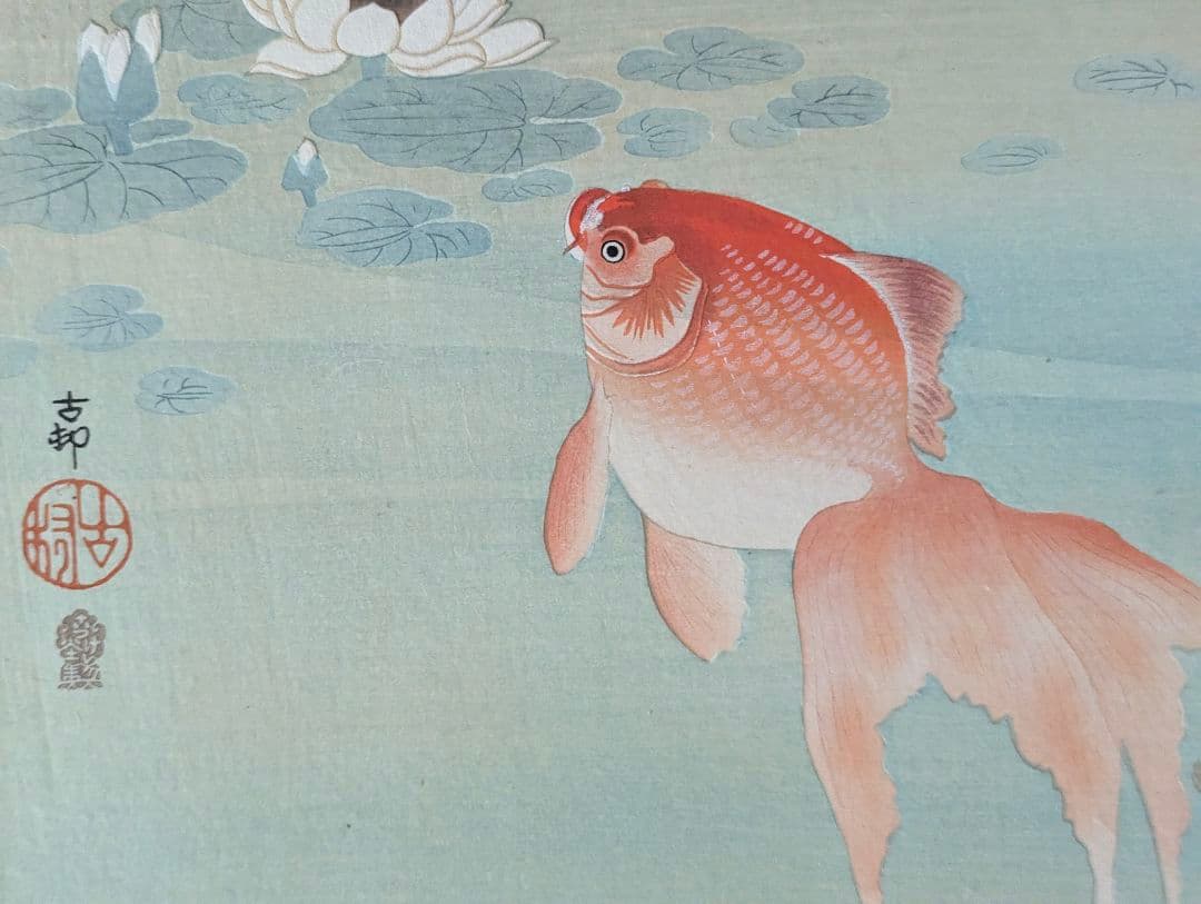 小原古邨「睡蓮に二匹の金魚」本物木版画