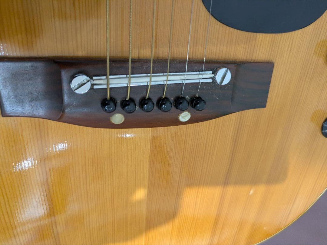 ジャパンビンテージアコースティックギター