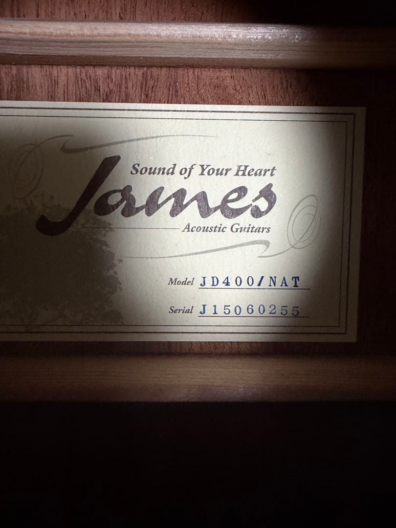 James JD400 アコースティックギター　ケース　クリップチューナー付き