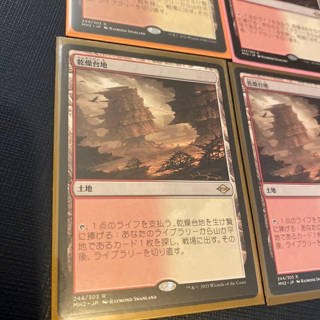 乾燥台地 4枚セット