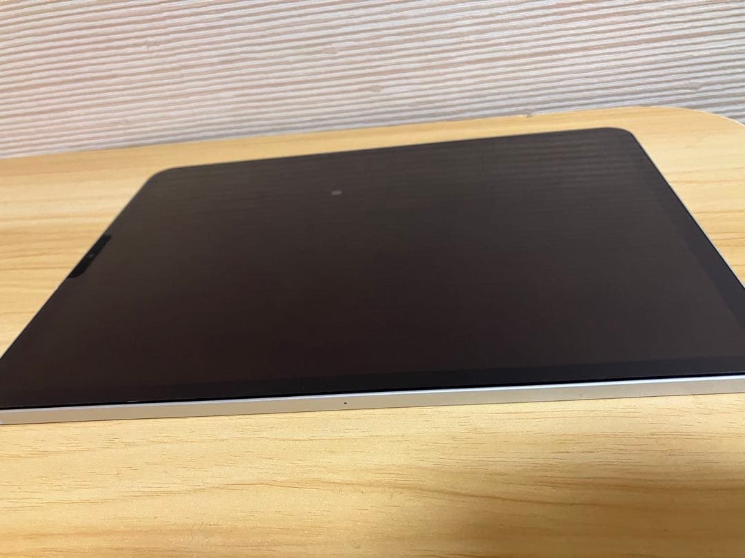 iPad Pro (11インチ) 第2世代