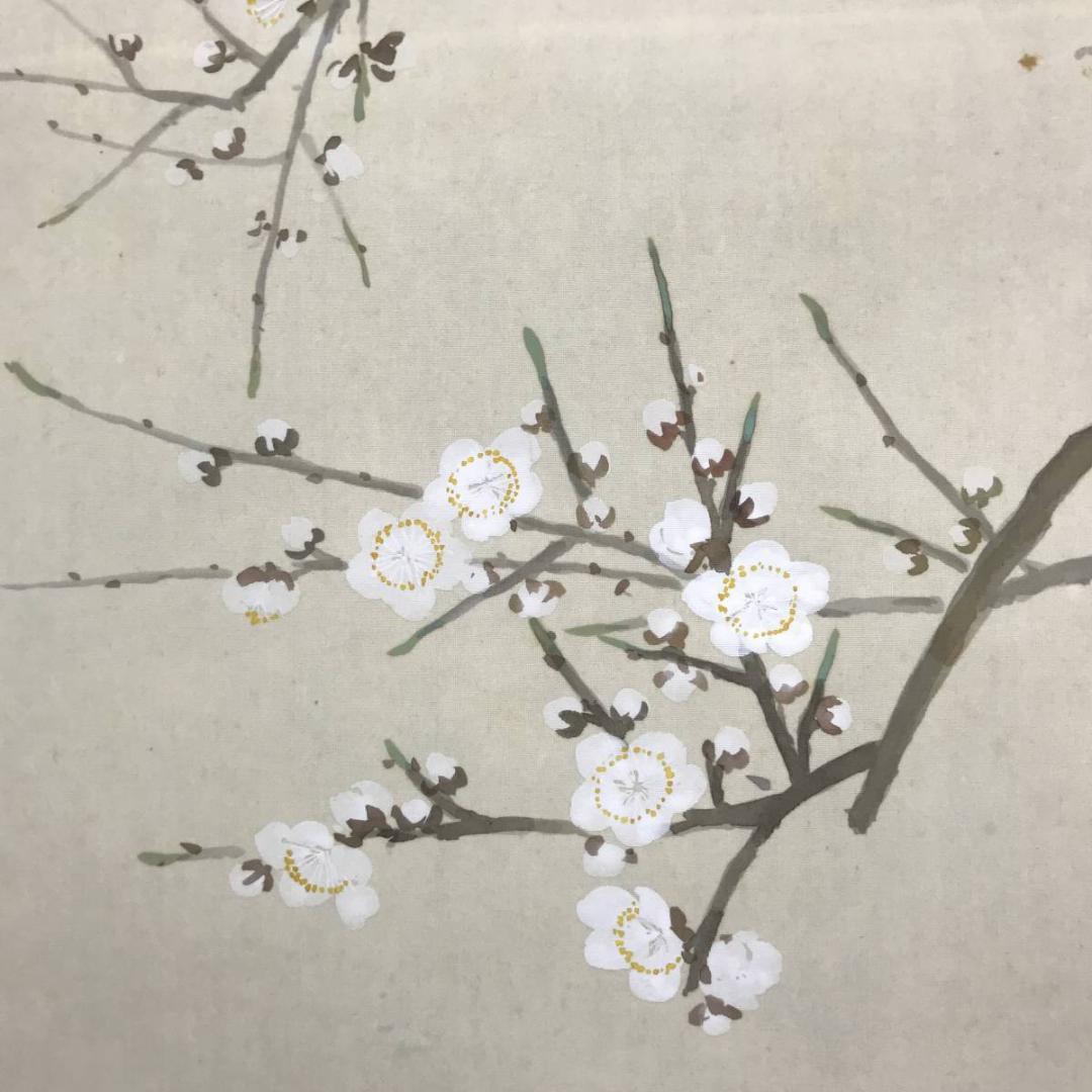 【真作】桃園/梅に鴬図/花鳥図/掛軸/名家伝来/AC-304