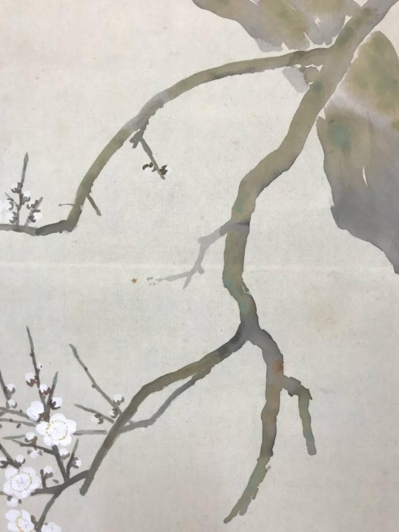 【真作】桃園/梅に鴬図/花鳥図/掛軸/名家伝来/AC-304
