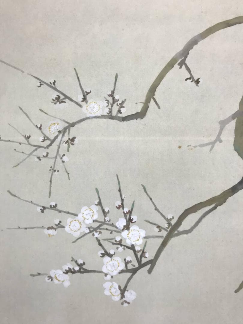 【真作】桃園/梅に鴬図/花鳥図/掛軸/名家伝来/AC-304