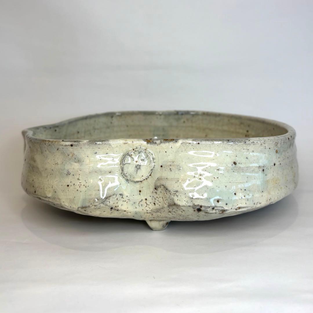 永江港史さん　絵志野焼　鹿　梅　鉢　小皿5枚セット