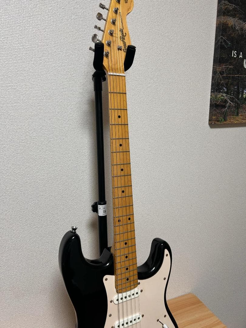 Grass Roots グラスルーツストラトキャスタータイプ