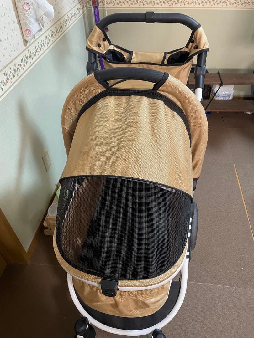 Piccolo Cane TANTO3 人気のシャンパンゴールド