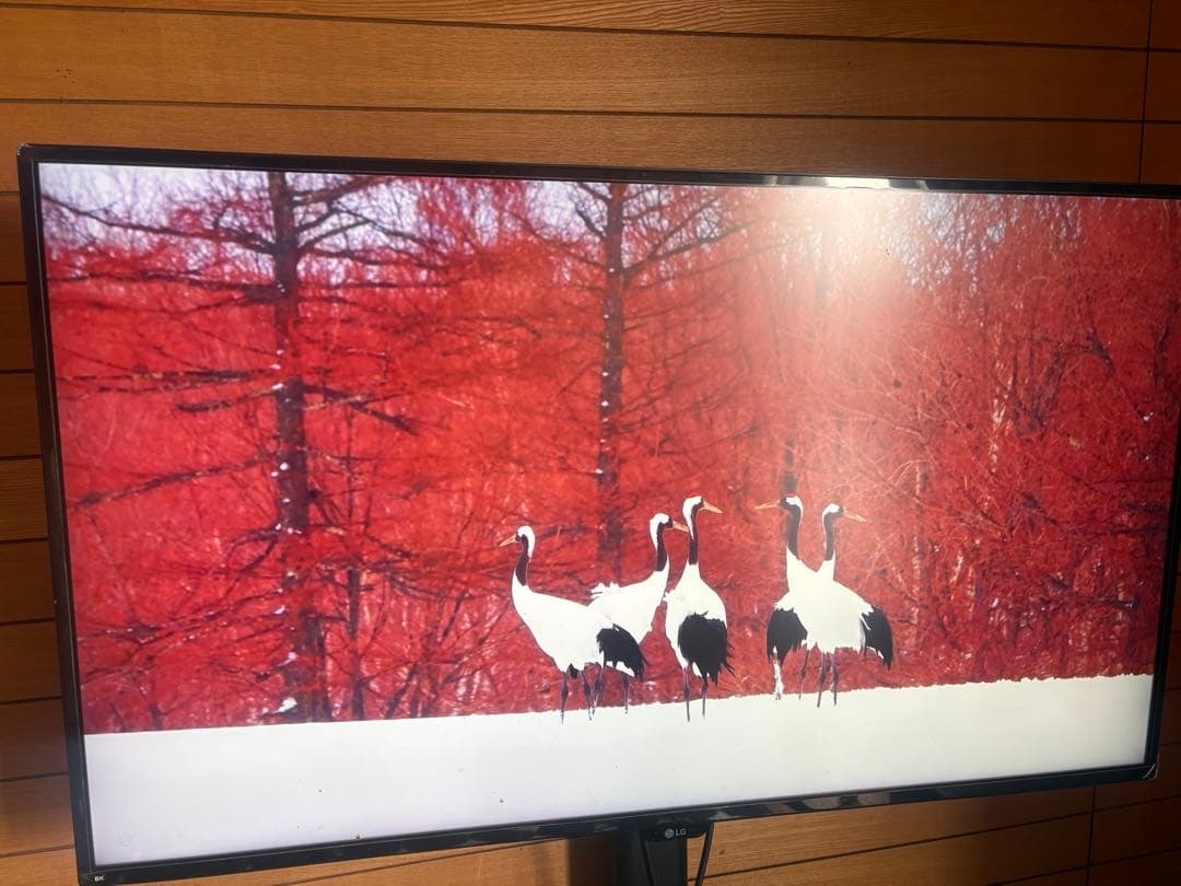 LG UHD 4K Monitor 43UD79T 43インチ