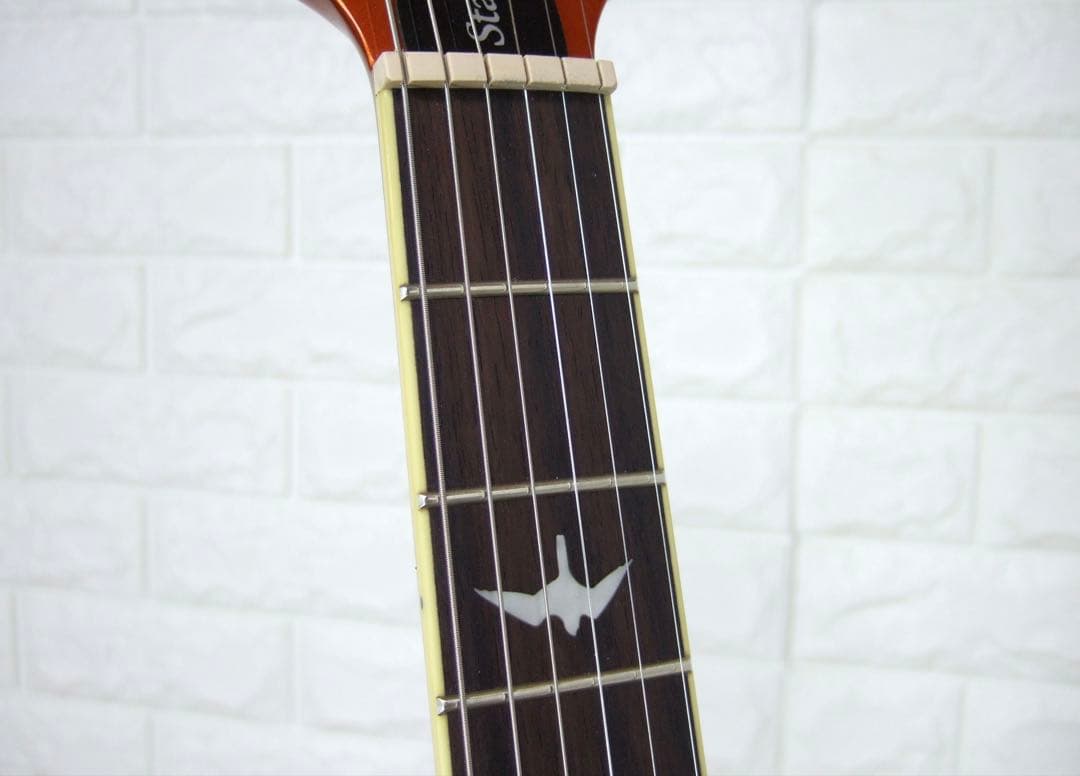 Paul Reed Smith SE Standard 24 限定品 PRS