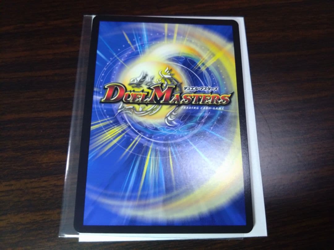 水上第九院　シャコガイル　b