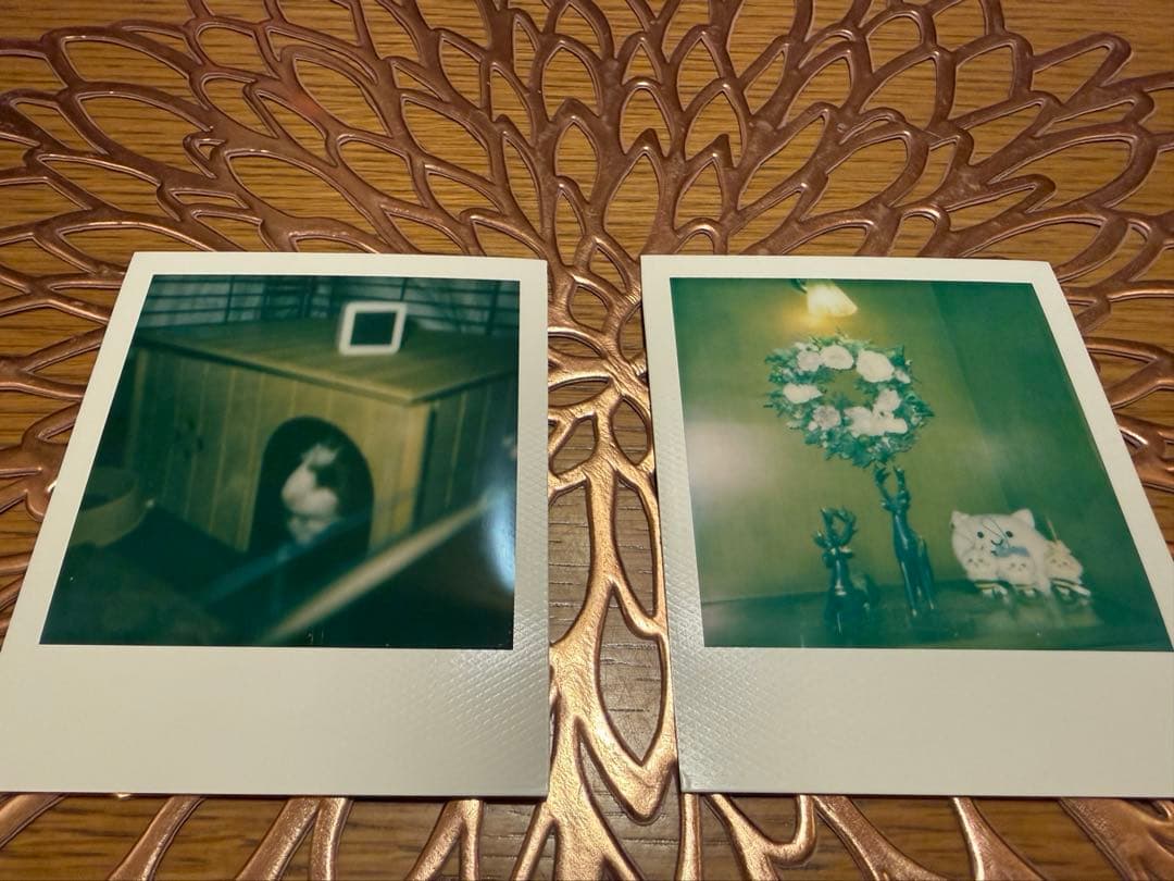 動作確認済み ポラロイド600フィルム4枚付き