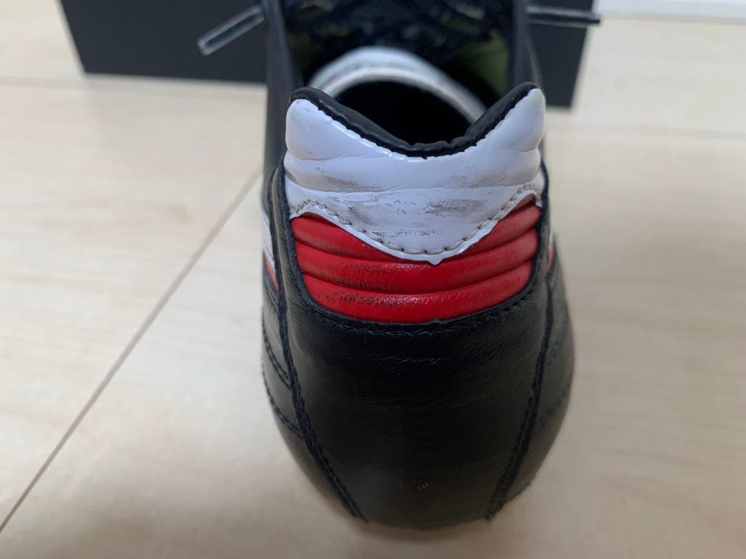 モレリア 2 クロスステッチ26cm