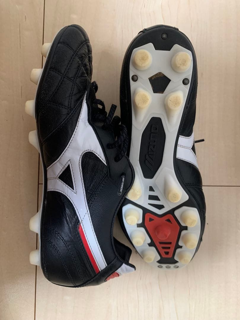 モレリア 2 クロスステッチ26cm