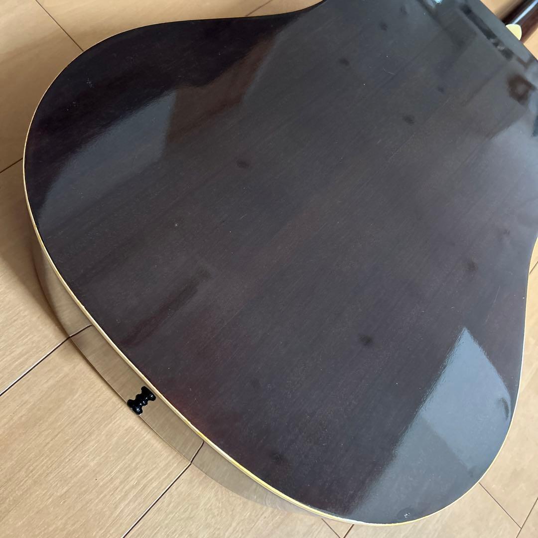 ぴょんたんCat's Eyas CE-200 東海楽器工房