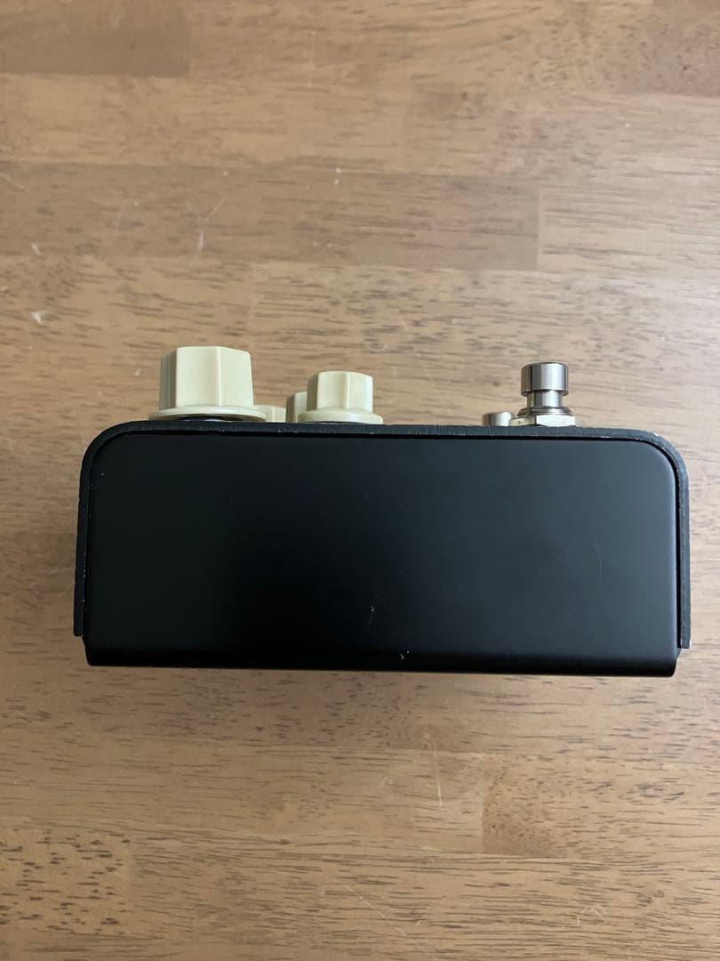 Strymon FLINT トレモロ リバーブ