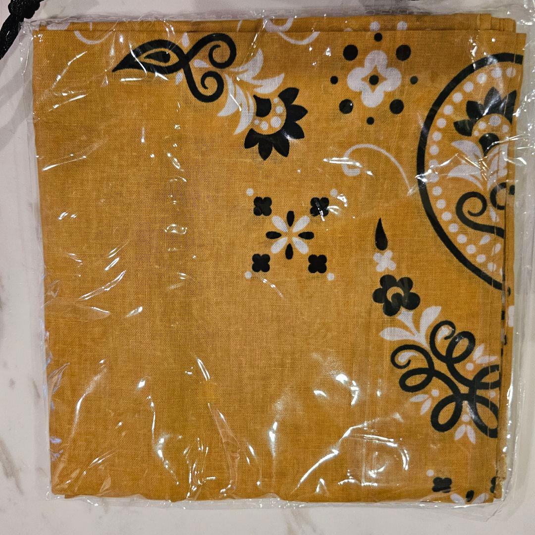 ビヨンセ COWBOY CARTER TOUR VIP限定グッズ＋Tシャツ3枚付