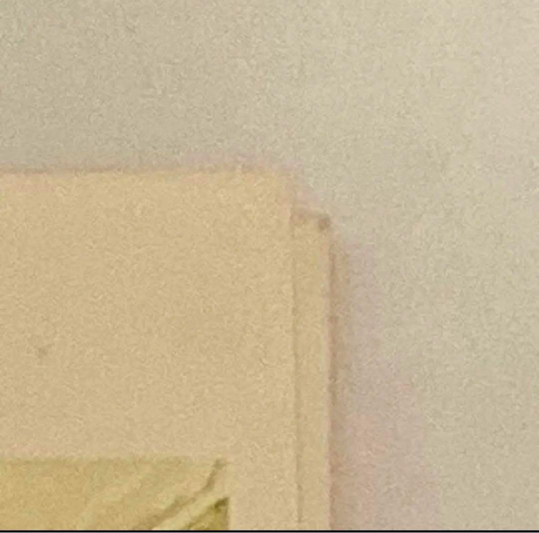 【ひよこ様取置専用】オルフェウスの窓・週刊マーガレット2冊 ぴあ 池田理代子