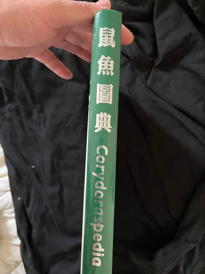 Corydoraspedia コリドラス　図鑑　鼠魚　辞典