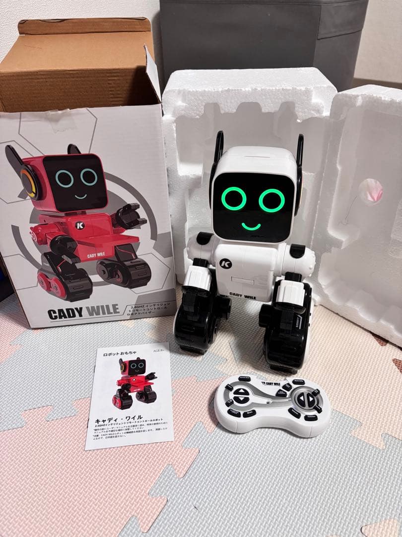Cady Wile ロボットおもちゃ