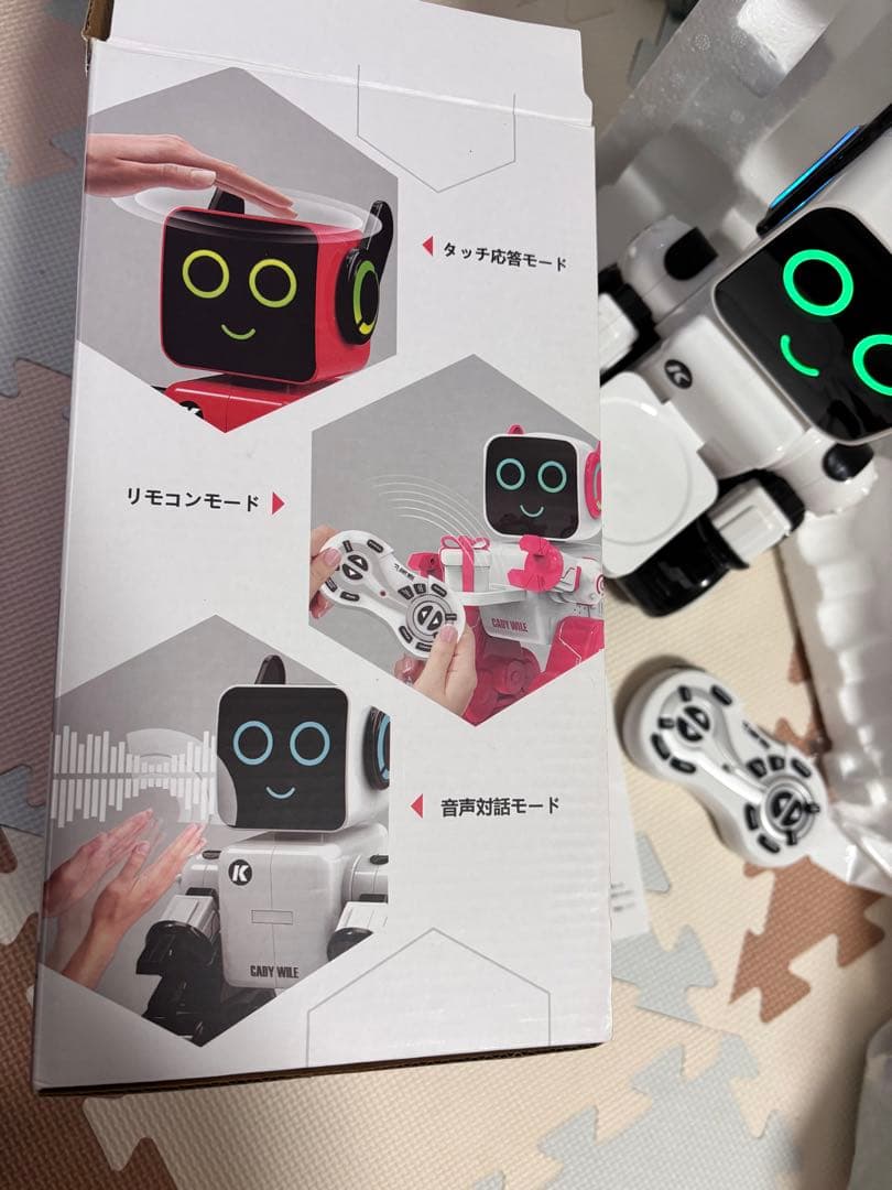 Cady Wile ロボットおもちゃ