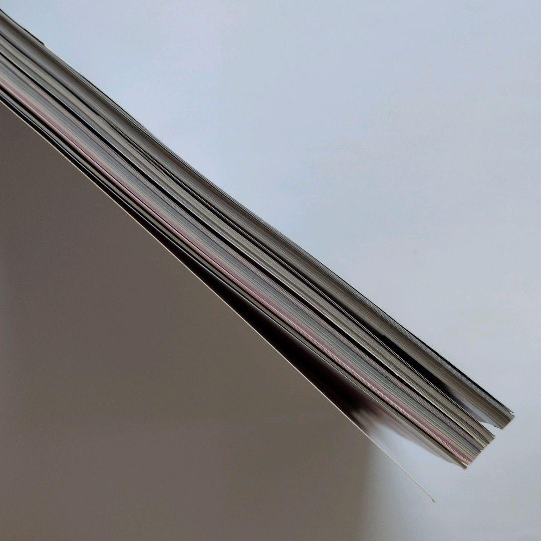 LouisVuitton ルイヴィトン クリアファイル モノグラムチェリー