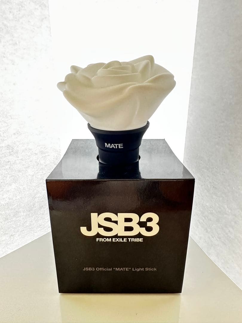 三代目JSB MATE ライトスティック 2本セット