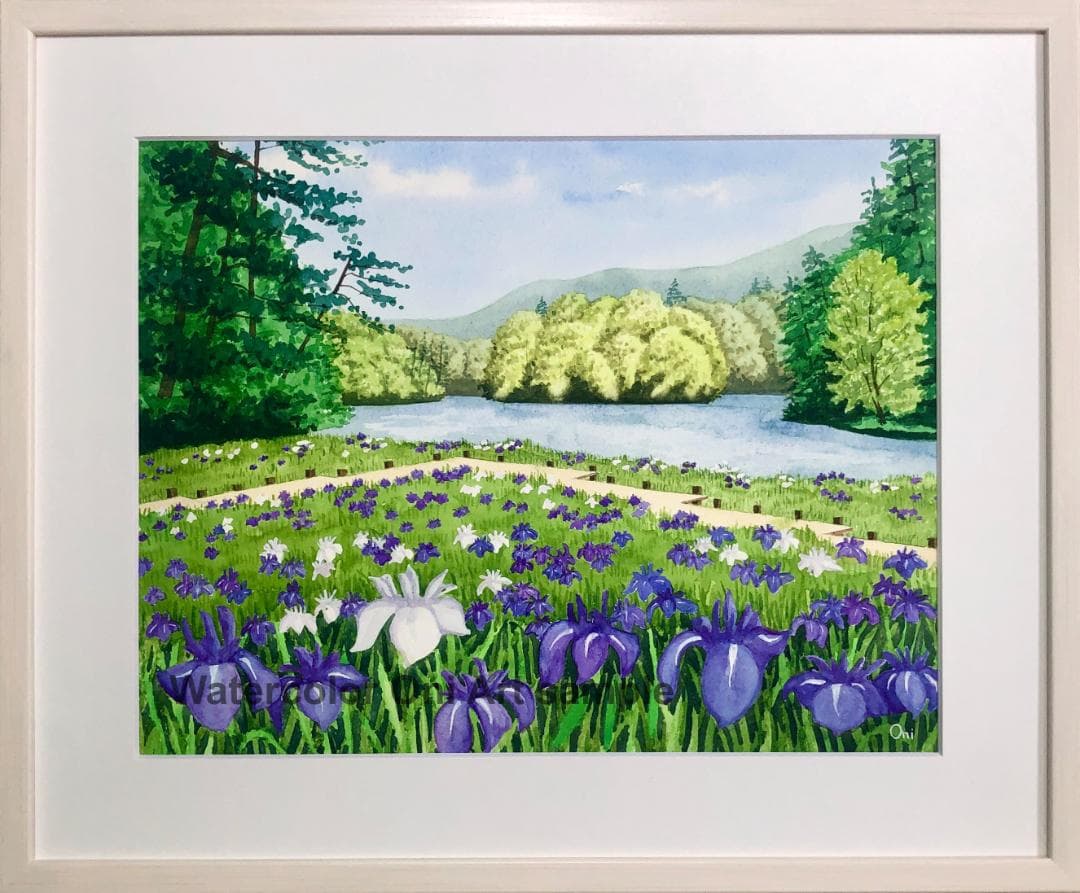 透明水彩画　原画　「カキツバタの咲く水辺」額縁付　F6サイズ　風景画