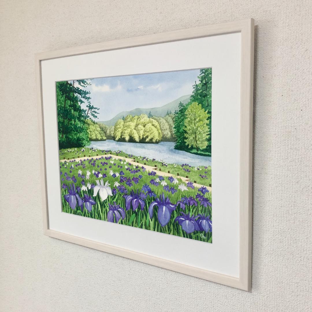 透明水彩画　原画　「カキツバタの咲く水辺」額縁付　F6サイズ　風景画