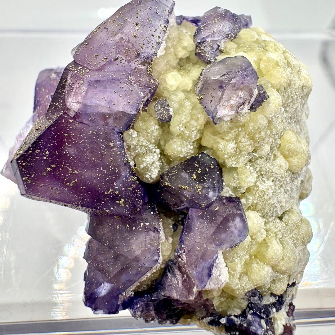 544 中国 内モンゴル産 フローライト&パイライト