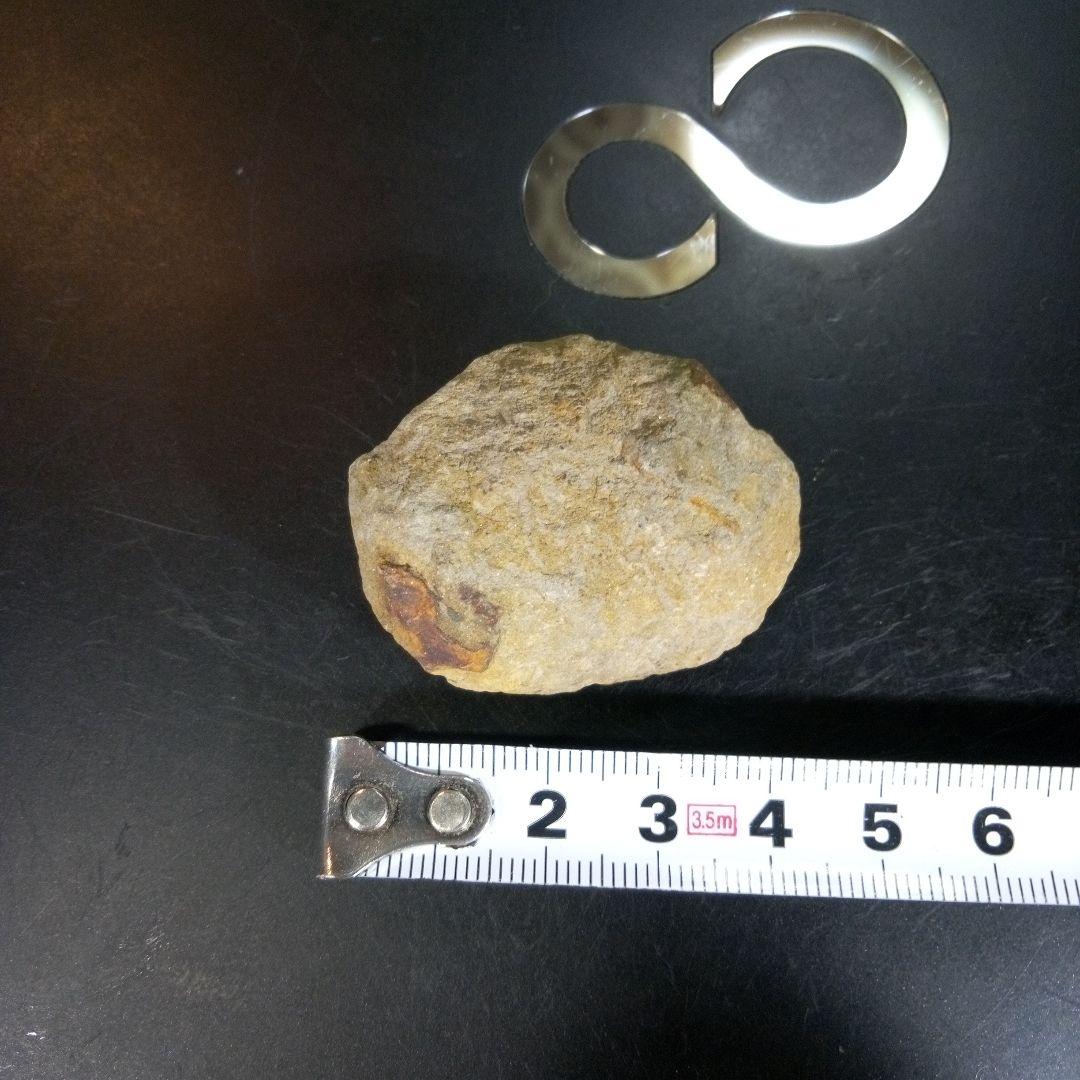 三葉虫　化石　fossil　ボリビア産　trilobite　ノジュール判別④