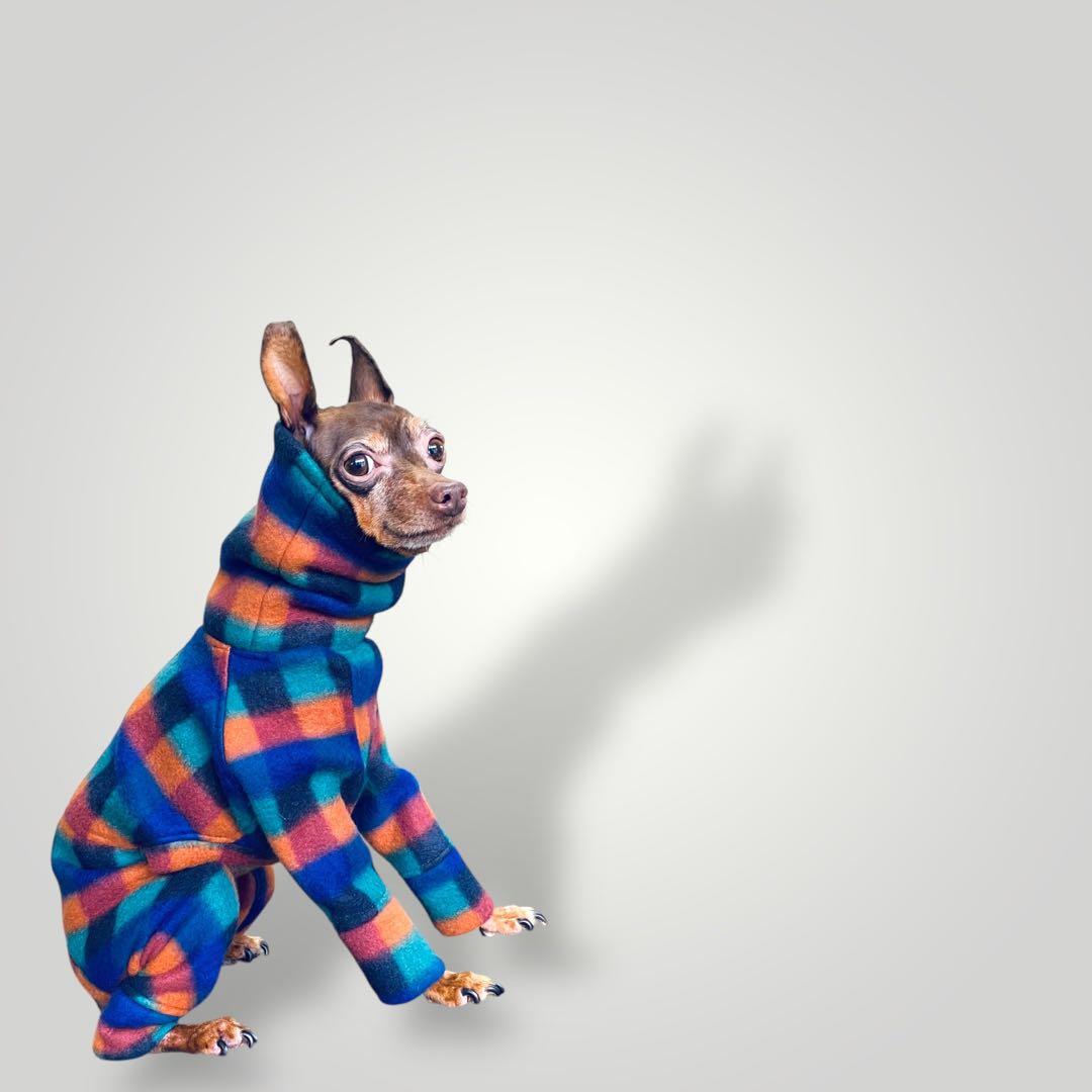 ㉑マルチカラーブロックフリース