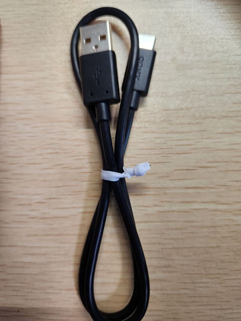 [美品]SONY WALKMAN NW-A105 Red