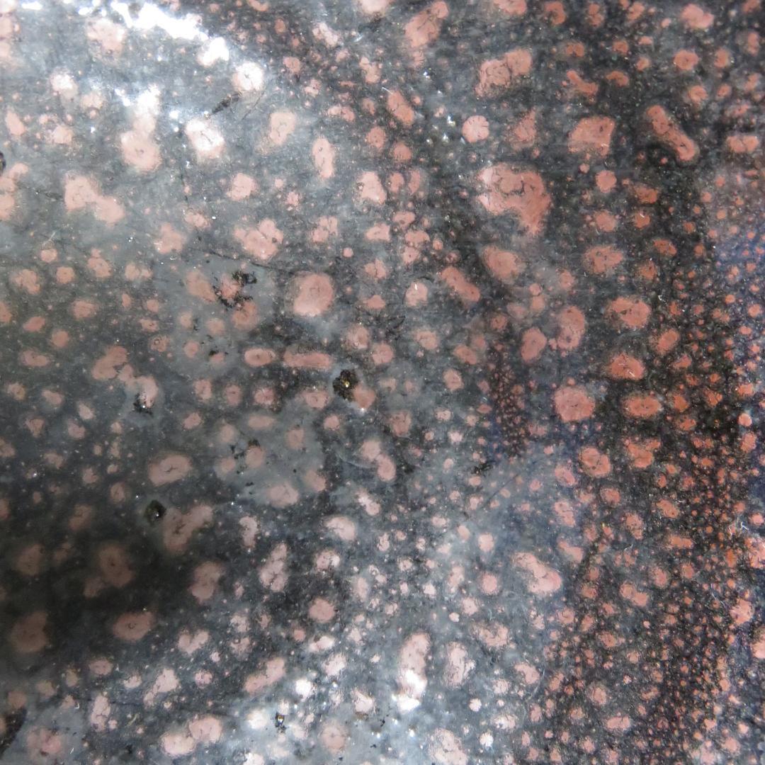 茶碗 油滴天目釉 間陽 春陽 抹茶碗 茶器 茶道具 共箱 木箱