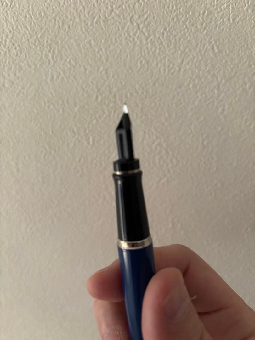 期間限定　WATERMAN ウォーターマン エキスパート デラックス 万年筆