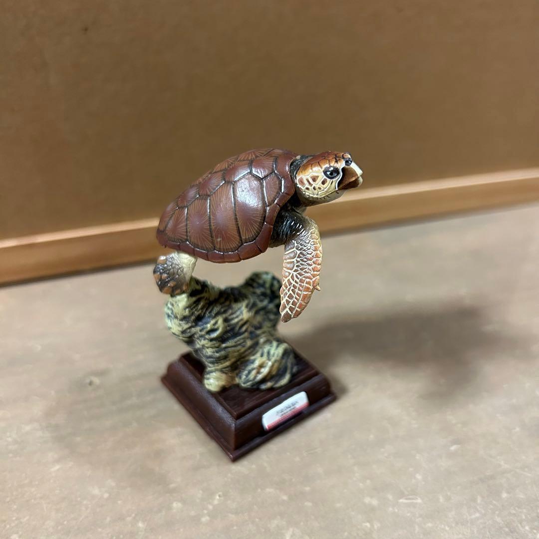 海遊館ミュージアム フィギュア まとめ売り ネイチャーテクニカラー 海洋堂 奇譚