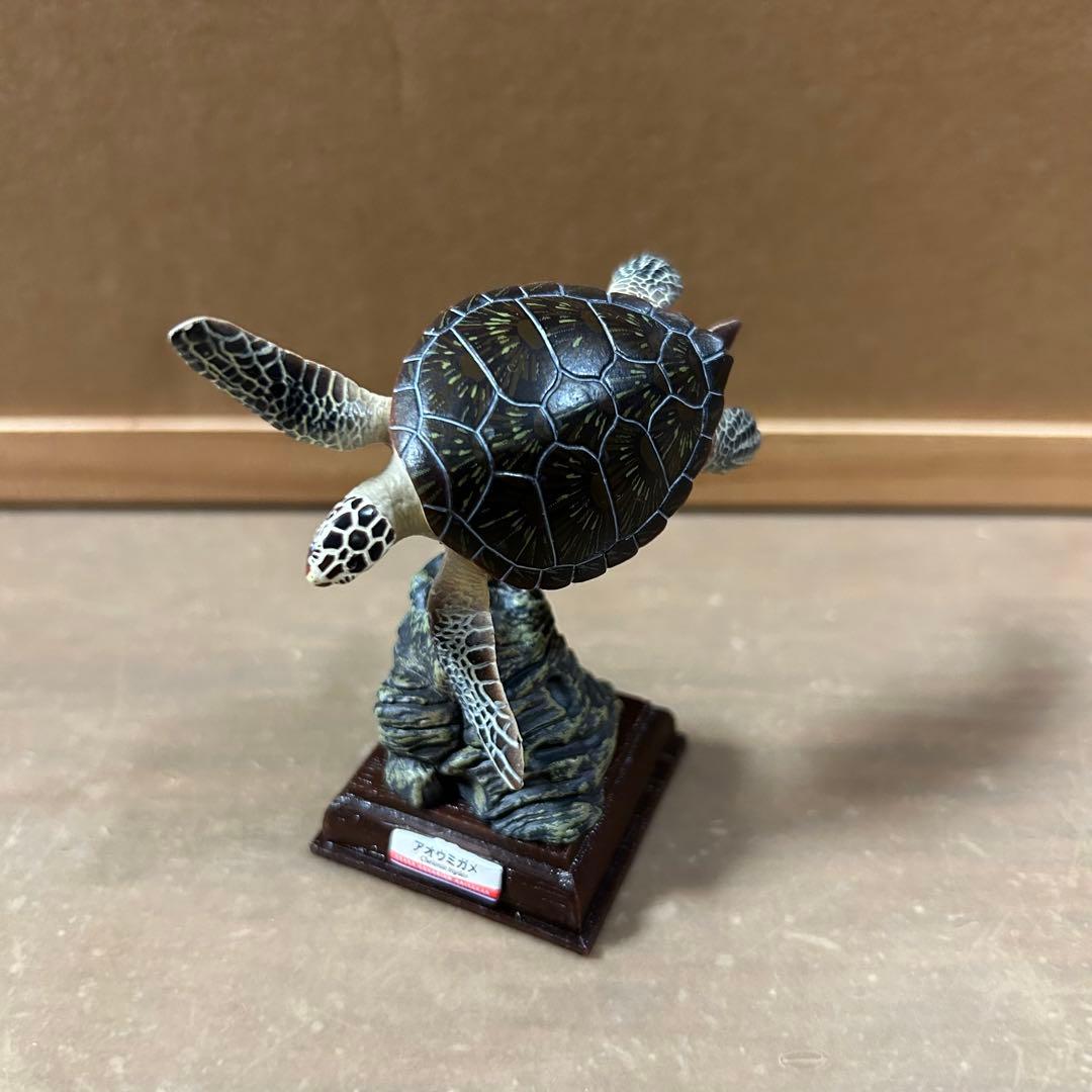 海遊館ミュージアム フィギュア まとめ売り ネイチャーテクニカラー 海洋堂 奇譚