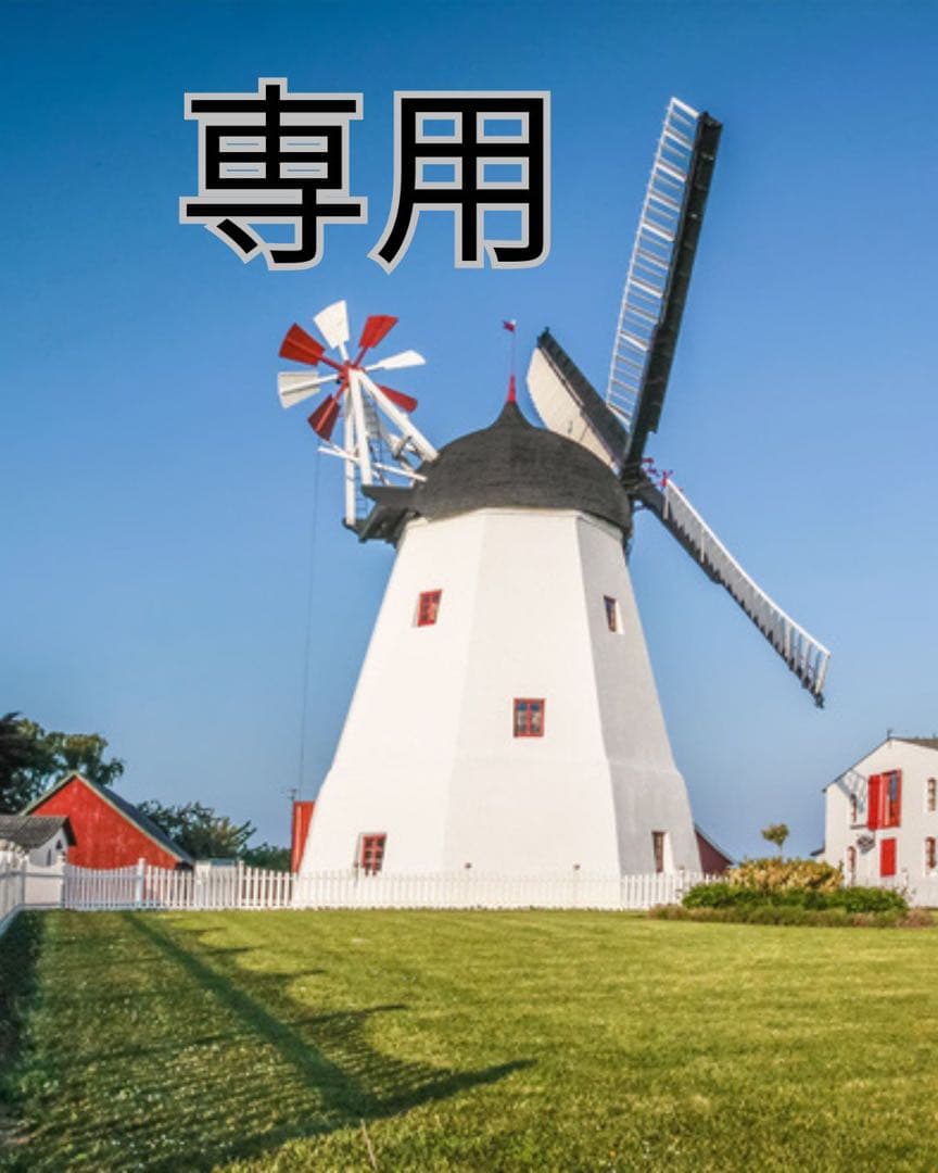 古九谷　色絵　花鳥文　長皿　骨董　希少　アンティーク　手描き