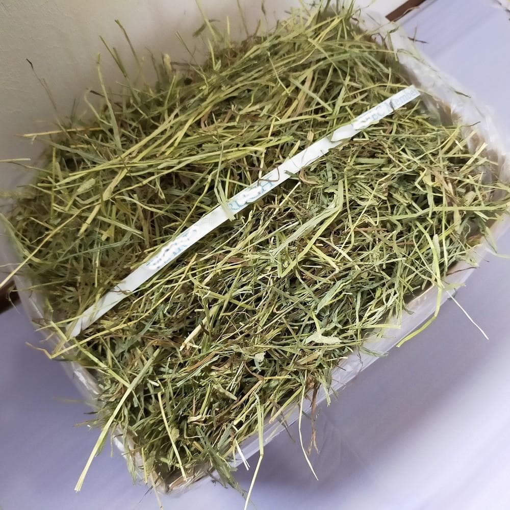 US産 チモシー 120kg ２番刈り ソフトSプレミアム