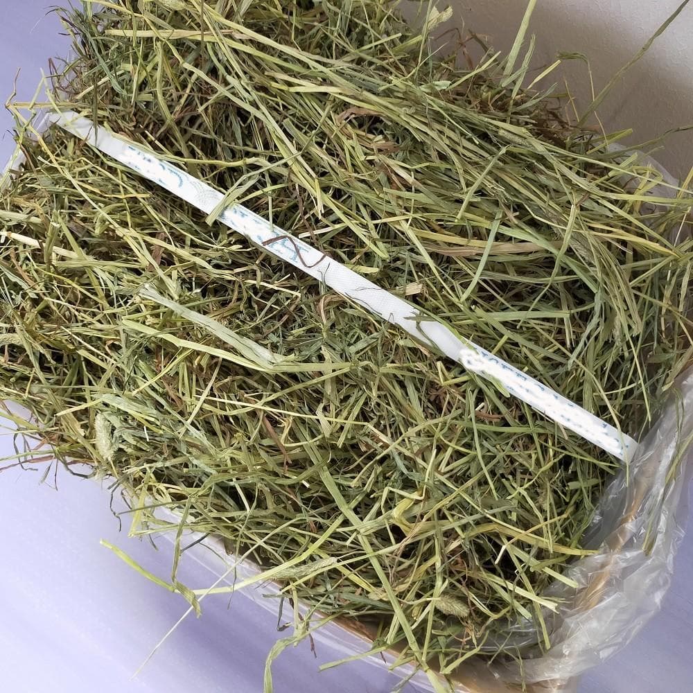 US産 チモシー 120kg ２番刈り ソフトSプレミアム